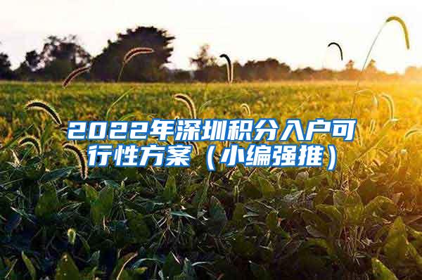 2022年深圳积分入户可行性方案（小编强推）