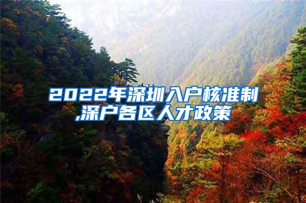 2022年深圳入户核准制,深户各区人才政策