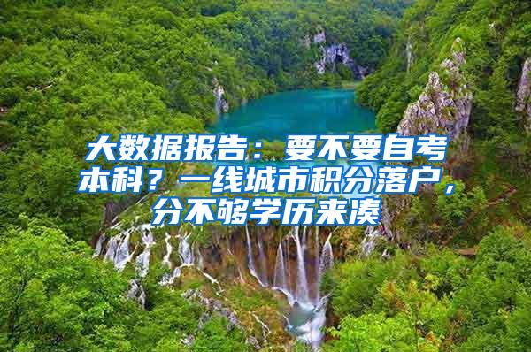 大数据报告：要不要自考本科？一线城市积分落户，分不够学历来凑