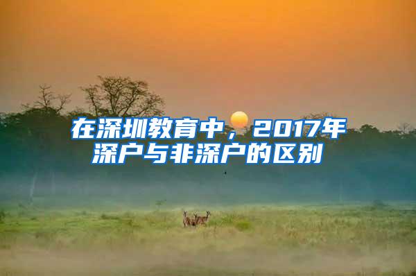 在深圳教育中，2017年深户与非深户的区别