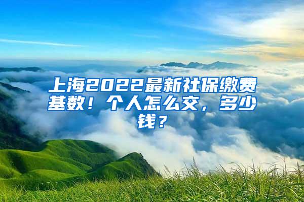 上海2022最新社保缴费基数！个人怎么交，多少钱？