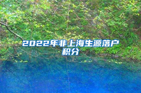 2022年非上海生源落户积分