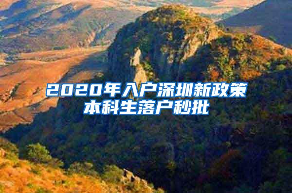 2020年入户深圳新政策本科生落户秒批