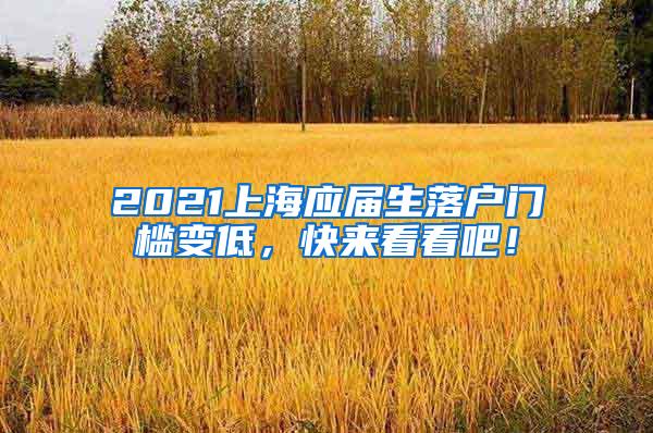 2021上海应届生落户门槛变低，快来看看吧！