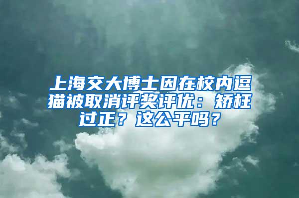 上海交大博士因在校内逗猫被取消评奖评优：矫枉过正？这公平吗？