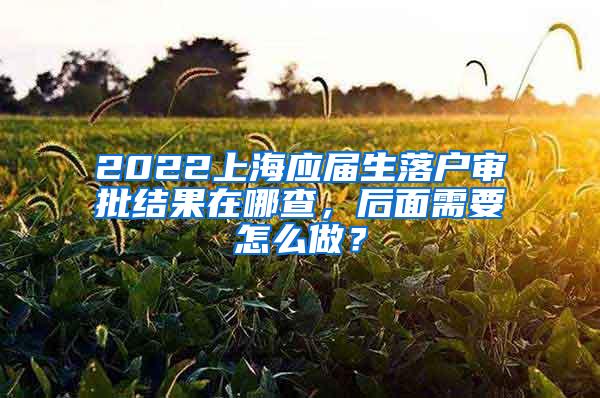 2022上海应届生落户审批结果在哪查，后面需要怎么做？