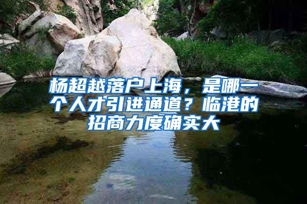 杨超越落户上海，是哪一个人才引进通道？临港的招商力度确实大