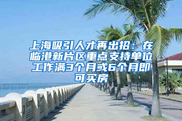 上海吸引人才再出招：在临港新片区重点支持单位工作满3个月或6个月即可买房