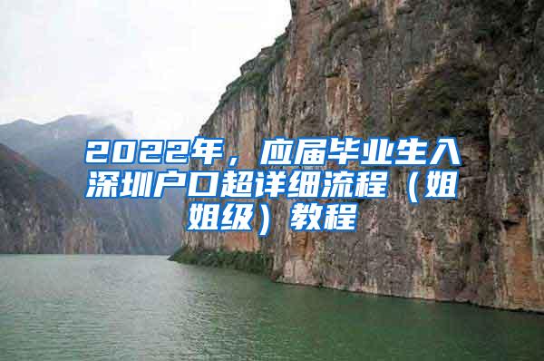 2022年，应届毕业生入深圳户口超详细流程（姐姐级）教程