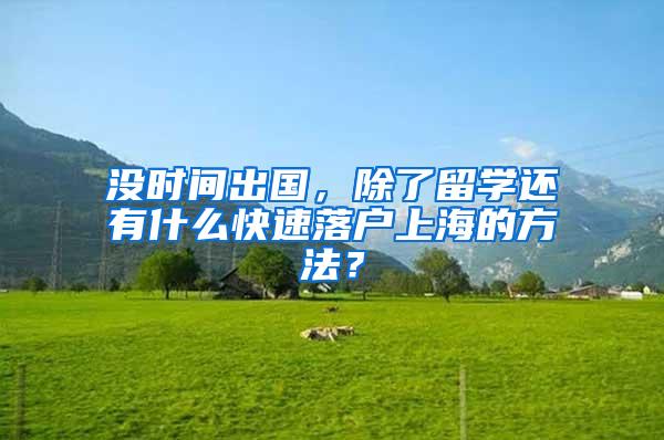 没时间出国，除了留学还有什么快速落户上海的方法？