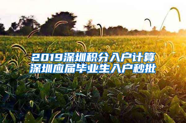 2019深圳积分入户计算深圳应届毕业生入户秒批