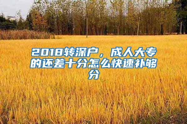 2018转深户，成人大专的还差十分怎么快速补够分