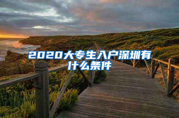 2020大专生入户深圳有什么条件