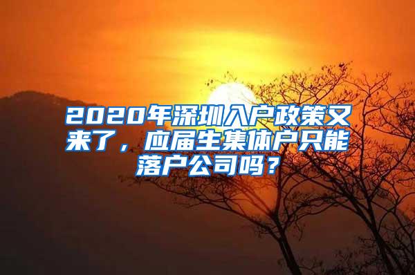 2020年深圳入户政策又来了，应届生集体户只能落户公司吗？