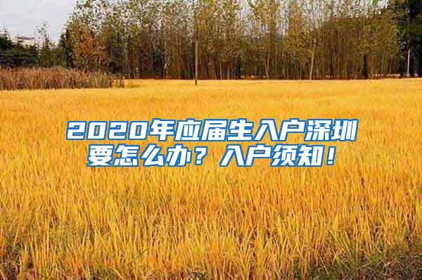 2020年应届生入户深圳要怎么办？入户须知！