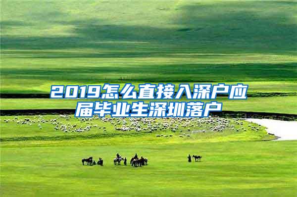 2019怎么直接入深户应届毕业生深圳落户