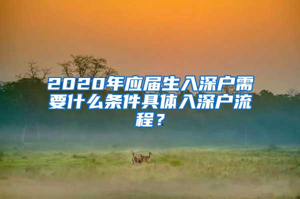 2020年应届生入深户需要什么条件具体入深户流程？