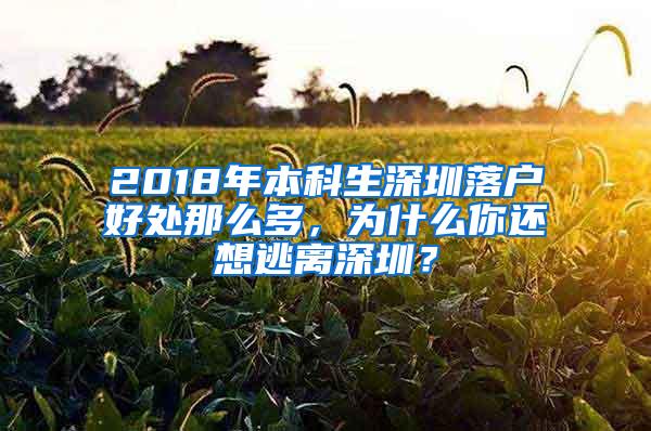 2018年本科生深圳落户好处那么多，为什么你还想逃离深圳？