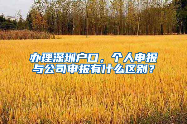 办理深圳户口，个人申报与公司申报有什么区别？