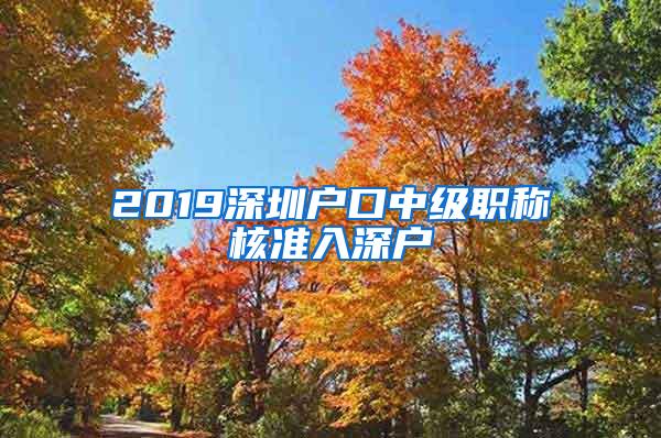 2019深圳户口中级职称核准入深户