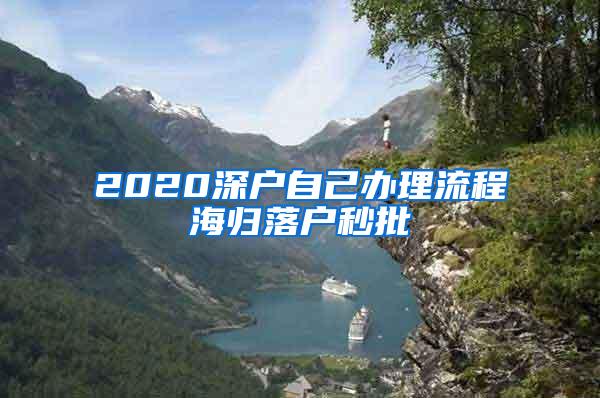 2020深户自己办理流程海归落户秒批