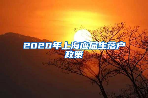 2020年上海应届生落户政策