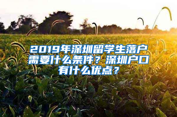 2019年深圳留学生落户需要什么条件？深圳户口有什么优点？