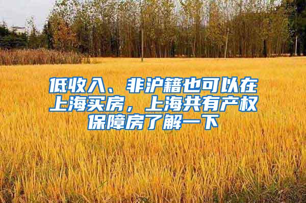 低收入、非沪籍也可以在上海买房，上海共有产权保障房了解一下