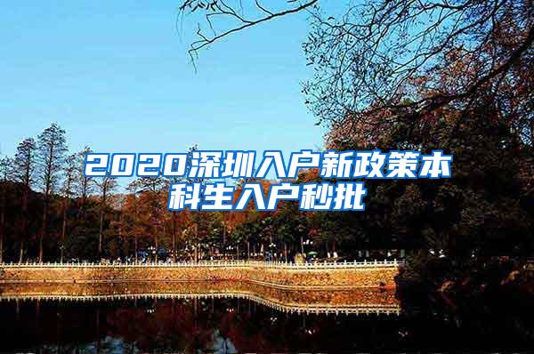 2020深圳入户新政策本科生入户秒批