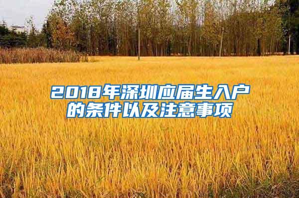 2018年深圳应届生入户的条件以及注意事项