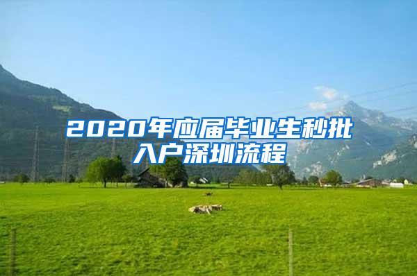 2020年应届毕业生秒批入户深圳流程