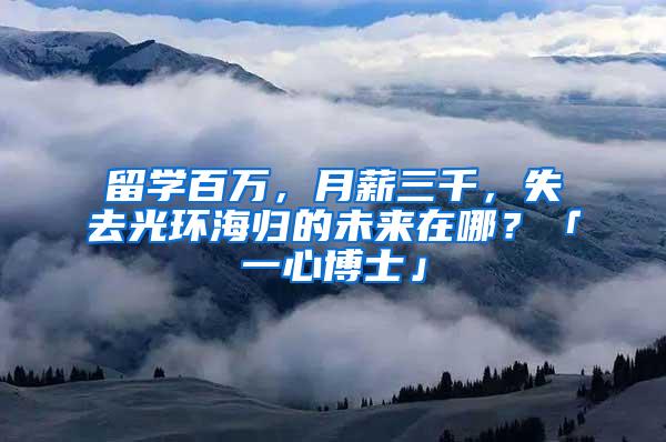 留学百万，月薪三千，失去光环海归的未来在哪？「一心博士」