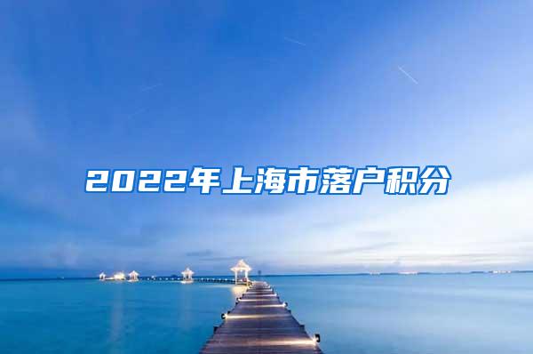 2022年上海市落户积分