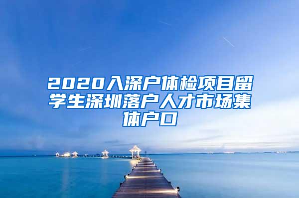 2020入深户体检项目留学生深圳落户人才市场集体户口