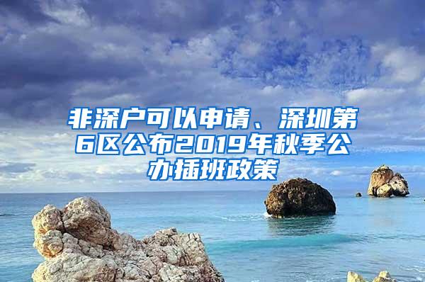 非深户可以申请、深圳第6区公布2019年秋季公办插班政策