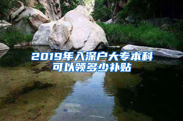 2019年入深户大专本科可以领多少补贴