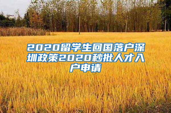 2020留学生回国落户深圳政策2020秒批人才入户申请