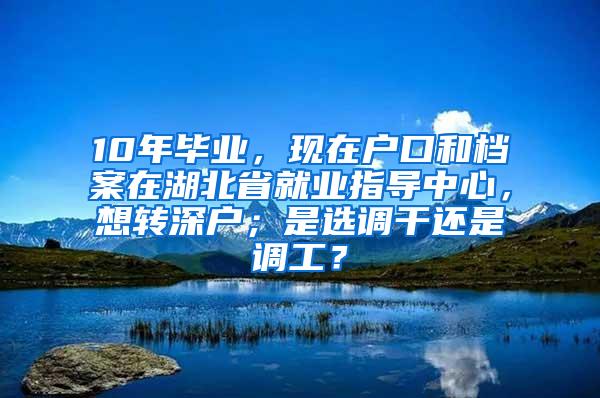 10年毕业，现在户口和档案在湖北省就业指导中心，想转深户；是选调干还是调工？