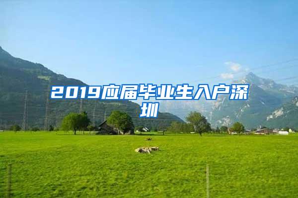 2019应届毕业生入户深圳