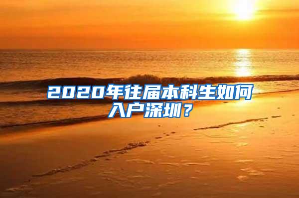 2020年往届本科生如何入户深圳？