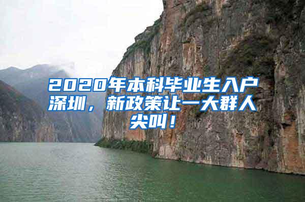 2020年本科毕业生入户深圳，新政策让一大群人尖叫！