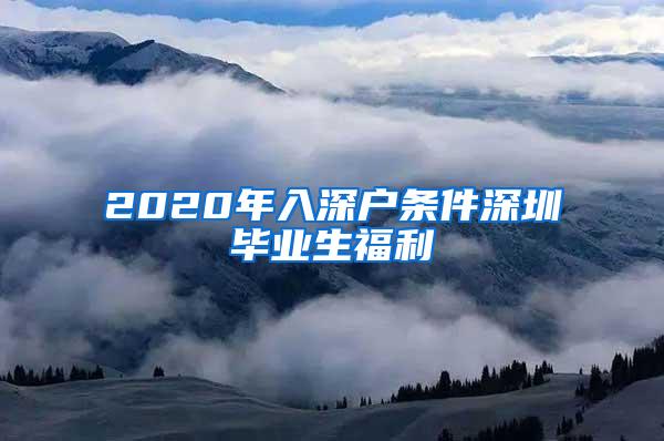 2020年入深户条件深圳毕业生福利