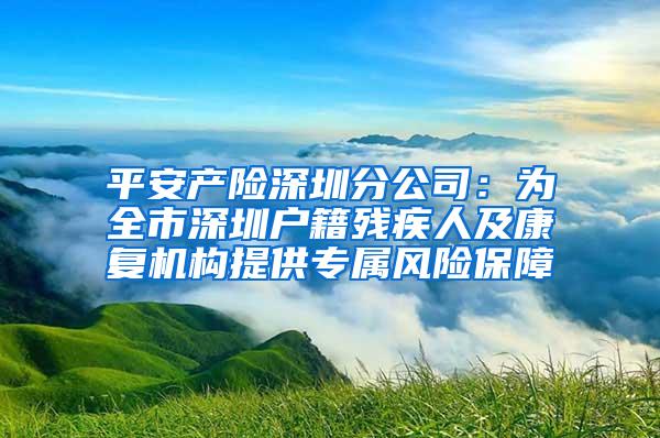 平安产险深圳分公司：为全市深圳户籍残疾人及康复机构提供专属风险保障