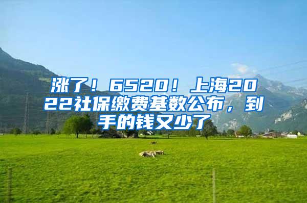 涨了！6520！上海2022社保缴费基数公布，到手的钱又少了