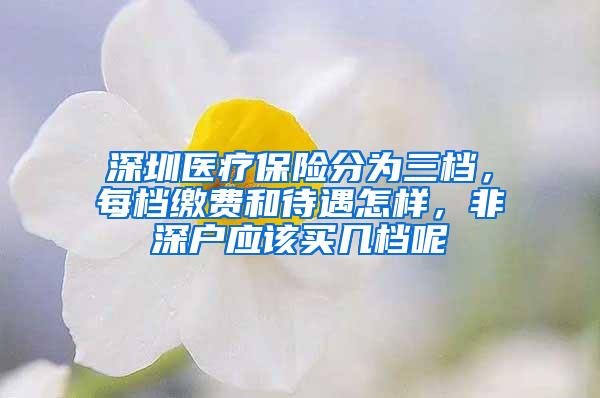 深圳医疗保险分为三档，每档缴费和待遇怎样，非深户应该买几档呢