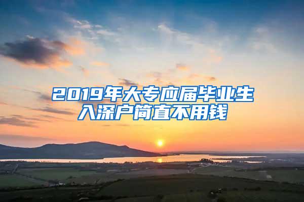 2019年大专应届毕业生入深户简直不用钱