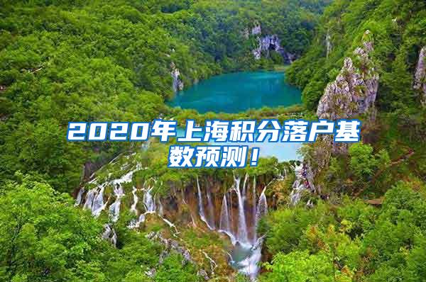 2020年上海积分落户基数预测！