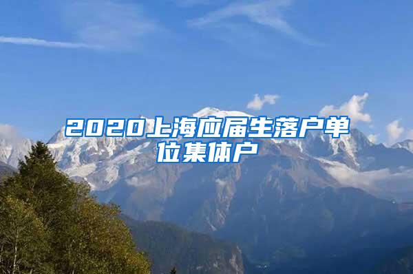 2020上海应届生落户单位集体户