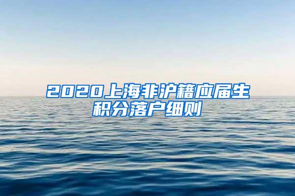 2020上海非沪籍应届生积分落户细则