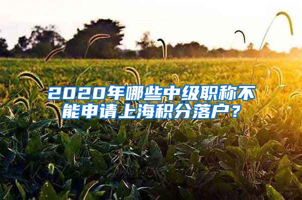 2020年哪些中级职称不能申请上海积分落户？